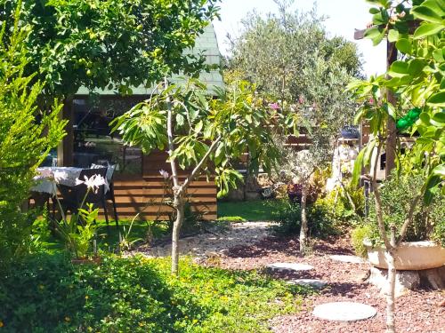 LEMON Tree, Kefar Weradim (photo 4)