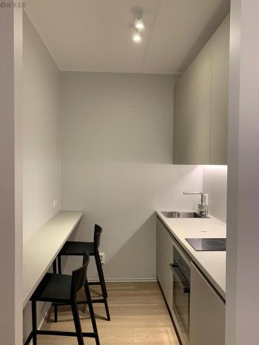 2 room apartment at centre near US Embassy, Tallinn (foto 4)