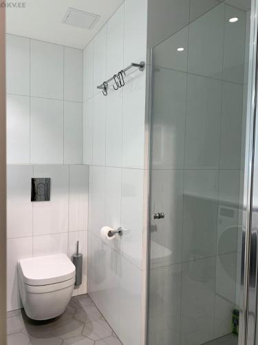 2 room apartment at centre near US Embassy, Tallinn (foto 7)