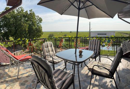 Casa Alecu in Popesti (Vrancea)