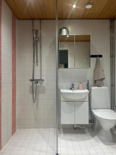 Bathroom, City center apartment with sauna & rooftop terrace in Pori