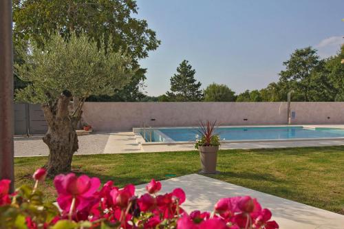 Villa Marija in Pekici (Haus für 8-10 Personen) - image 6