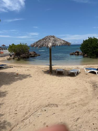 plajă, Caldo Tours Suite in Runaway Bay in Runaway Bay