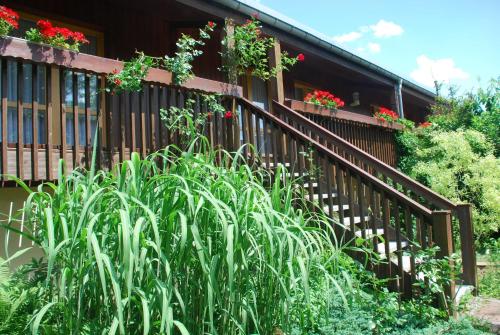 Garden, Schneiderlein Hotel in Limbach-Oberfrohna