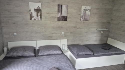 4 twin beds, 2 sofa beds