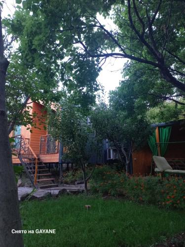 Green World in Antarut