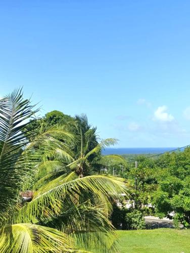 Les Alizées - Pleasant & Sea View - Location saisonnière - Petit-Bourg