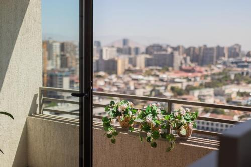 Discover the authentic energy of Barrio Italia
