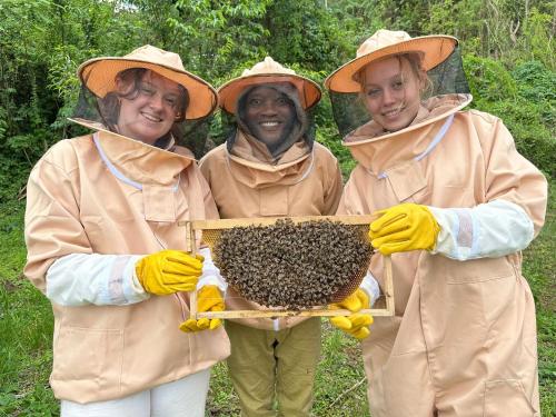 Apiculture museum & Accommodation in Lushoto