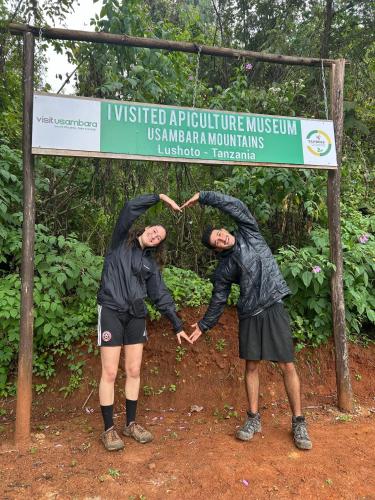 Apiculture museum & Accommodation in Lushoto