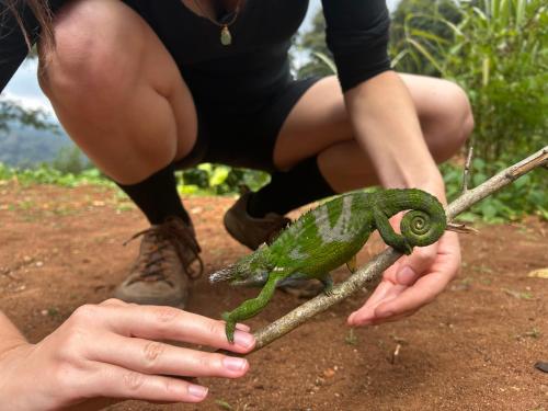 Apiculture museum & Accommodation in Lushoto