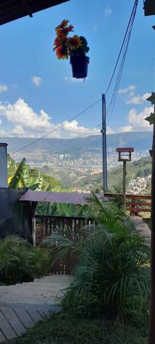 Casita el mirador solo naturaleza, Medellín (fotografie 7)