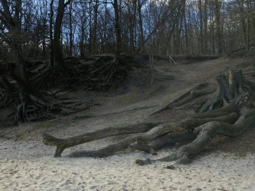  8 person holiday home in Aabenraa-By Traum in Aabenraa