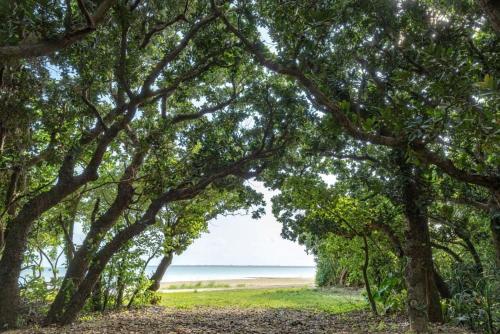 石垣 車で市街地近くの静かな田舎空間一沖縄古民家の宿 4つ星 シングルルーム 施設