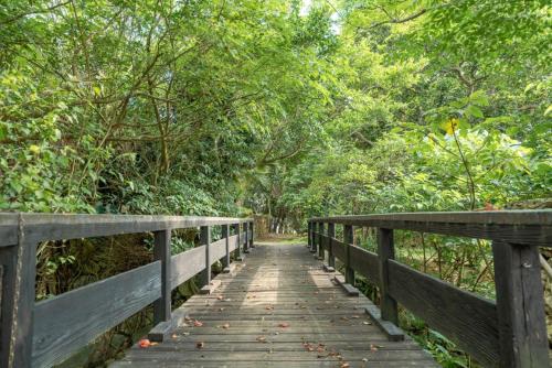 石垣 車で市街地近くの静かな田舎空間一沖縄古民家の宿 4つ星 シングルルーム 眺望