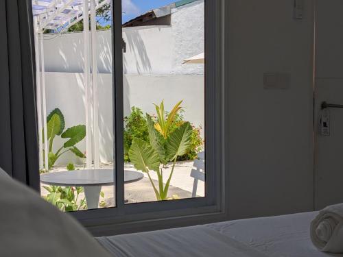 Vistas,  de 180 m² en Mathiveri, con 7 habitación(es) y 7 baño(s) privado(s) (Avi Guesthouse) in Alifu Alifu Atoll