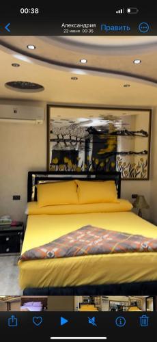 شقة المنتزة اسكندرية - image 2