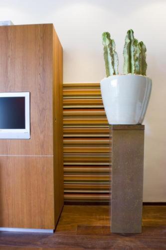 Coral Apartment Suite image 2