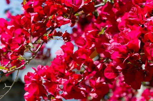 Hotel Can Roses - image 11