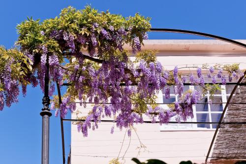 Hotel Can Roses - image 7