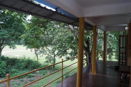 Jungleparadiso Homestay