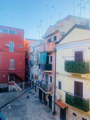 Il fiore Blue in Barletta