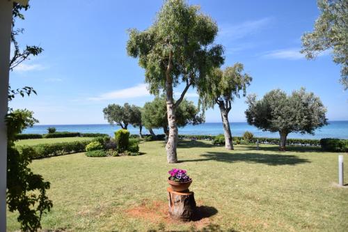  Villa Anemi in Nea Skioni