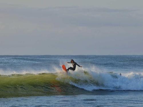 PiPi Vacation Rental