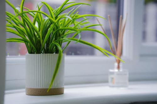 Modern 2 BR With Parking and Sleeps 6, near City Centre, Manchester (fotografie 9)