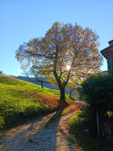 Il Sentiero beb in Cerro Veronese