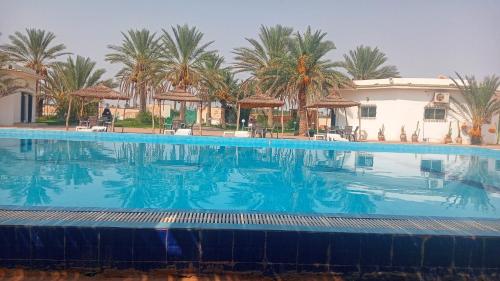 สระว่ายน้ำ, Garden12 Outdoor & More in ดูซ