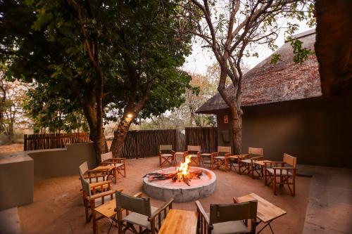 Xanatseni Private Camp in Taman Nasional Kruger