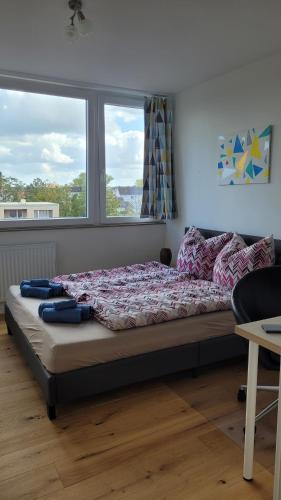 Niehler Residenz, Kolín nad Rýnem (fotografie 8)