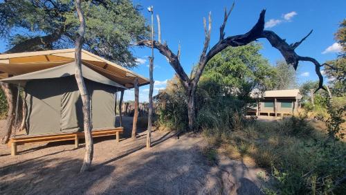 Exterior view, Camp Naledi - Exclusive Safari Tented Lodge with River View I Natural Plunge Pools I All Inclusive I in Ngwala