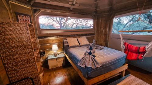 Camp Naledi - Exclusive Safari Tented Lodge with River View I Natural Plunge Pools I All Inclusive I in Ngwala