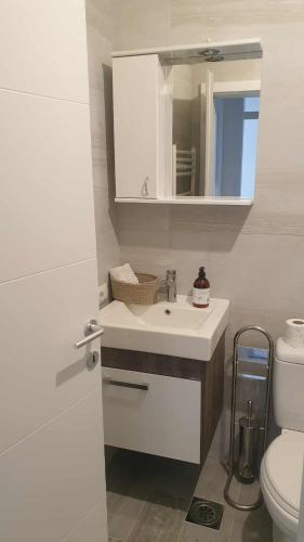 Dielli Apartment, Priština (fotografie 6)