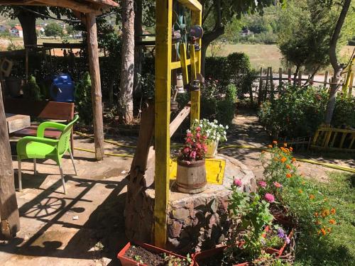 Bujtina Gashi Relax Nature in Kukes