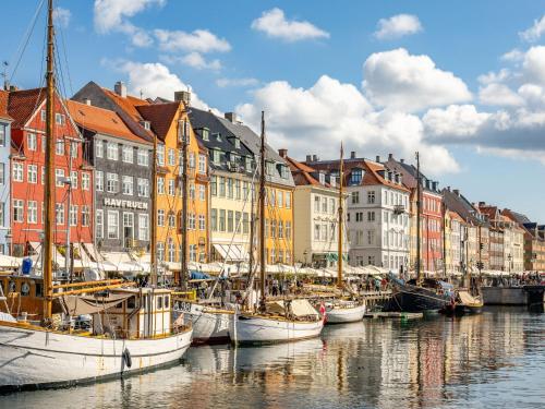 Shield 3 - 3 bedroom apartment with balcony in central Copenhagen - image 8