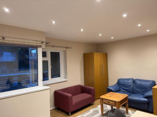 Spacious Apartment near the Oval, London