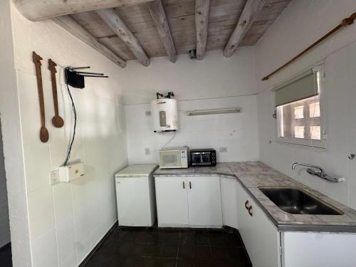 DEL PLATA CABAÑA DE MONTAÑA (DEL PLATA CABANA DE MONTANA) in El Salto (Mendoza)