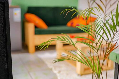 Tropical House Rainforest charm cosy comfort in Gulu