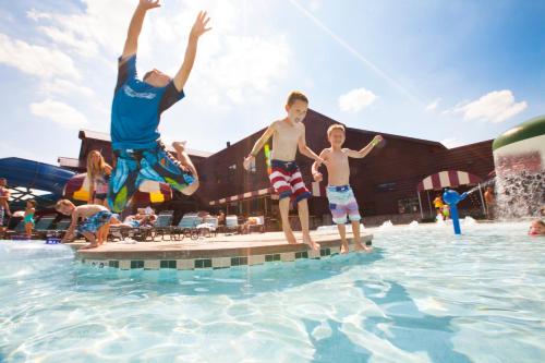 Great Wolf Lodge Grapevine - image 10