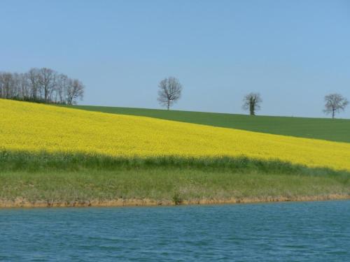 Gîte gascon Le Bataillé gîte à louer Montaut-les-Créneaux