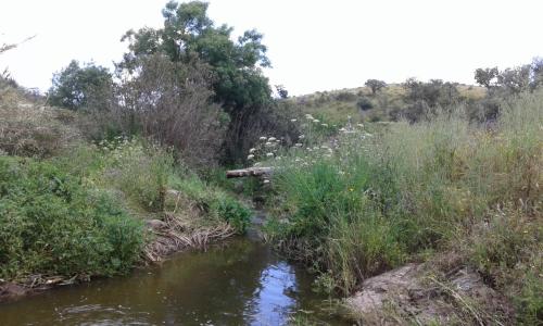 Herdade Do Rio Torto - image 6