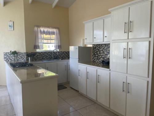 Hibiscus Apartment in Corinth