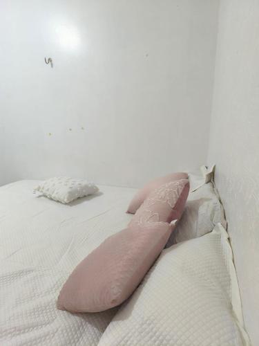 Casa cop 30