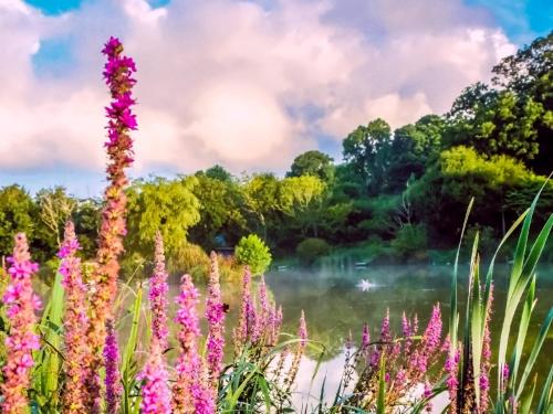 Faciliteiten, 3 bed in Narberth 36799 in Llawhaden