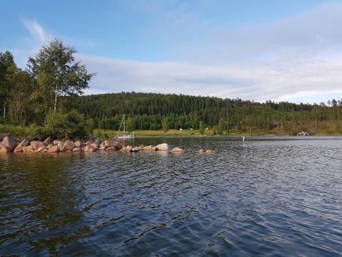 Måvikens Camping