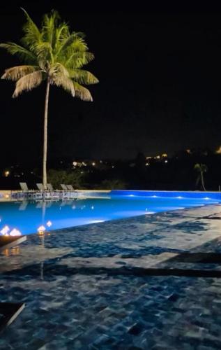 Swimmingpool, Lagamar Hotel Varginha in Varginha