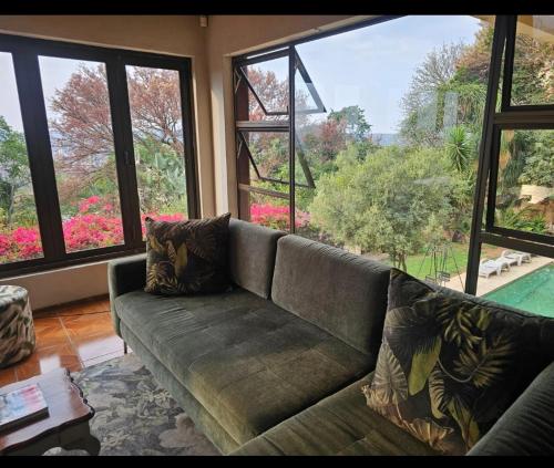 House Olive - Pretoria